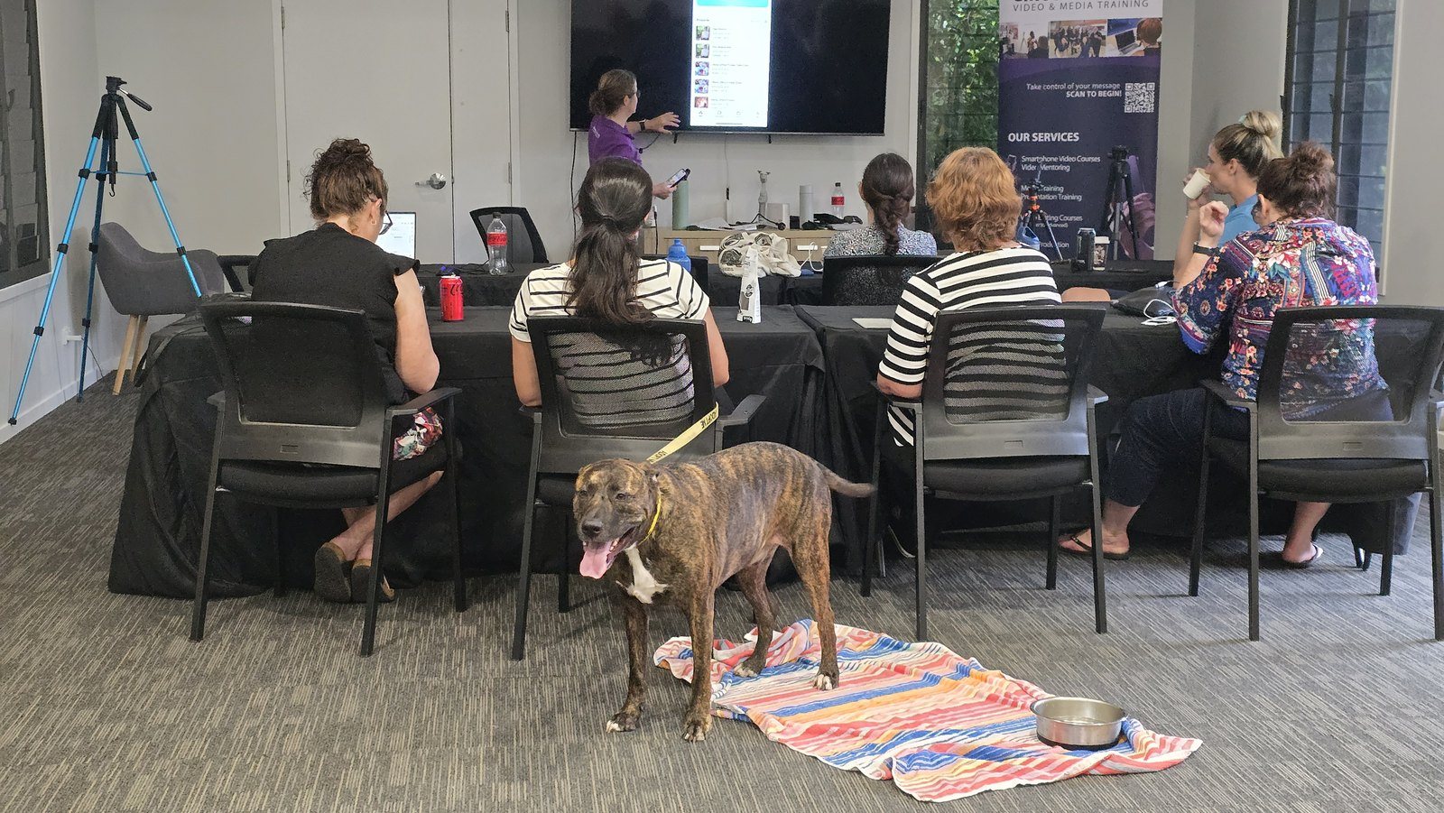 The NQAR team in a classroom session, with a rescue dog resting on a blanket beside them